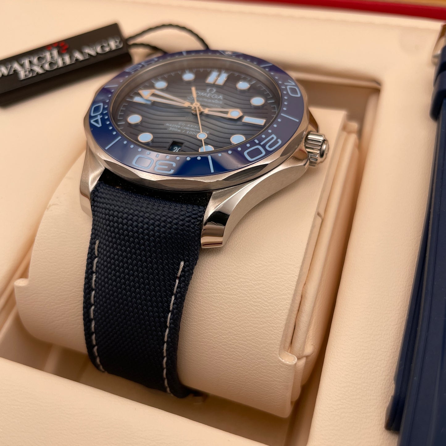 Seamaster Diver 42