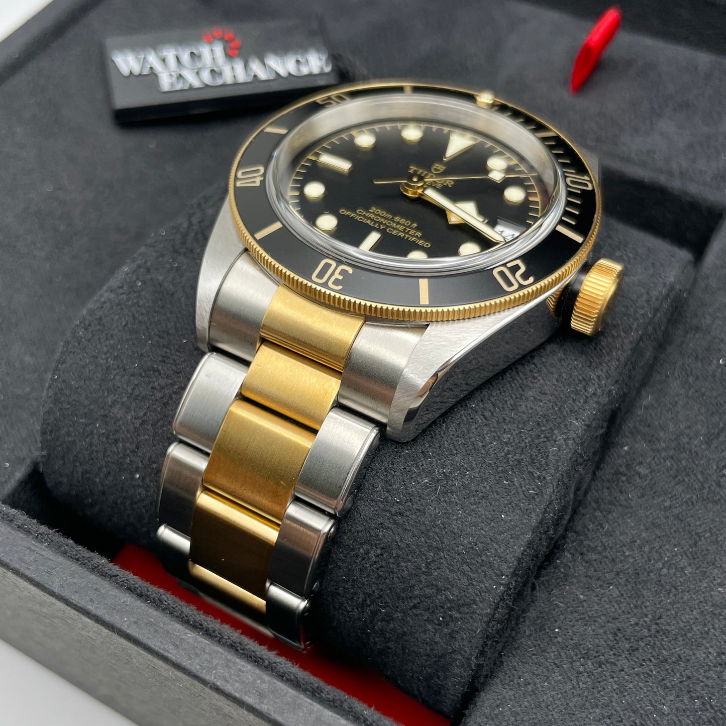 Black Bay GMT 41